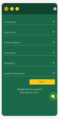Enter the required data - first name, last name, email address, username, password